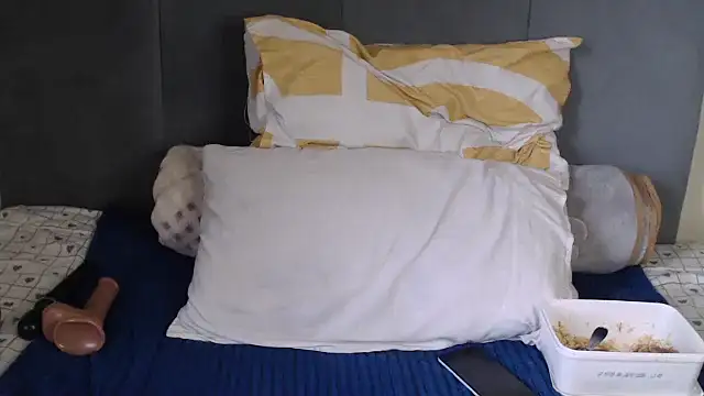 Snapshot of Tyllorsavage chatting on October 29, 2025, 9:08 am Tyllorsavage online show from October 29, 2025, 9:08 am