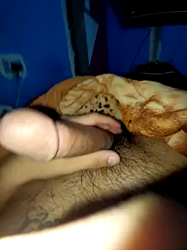 Exotic19cm online show from December 18, 2025, 6:29 am