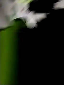 danigarci2307 online show from October 21, 2025, 10:31 pm