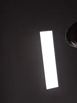 danigarci2307 online show from February 7, 2026, 9:45 pm