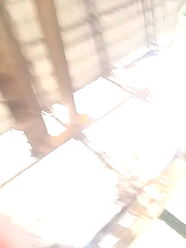 xyz-indian online show from October 11, 2025, 3:51 am