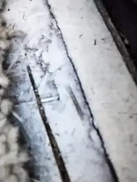 Snapshot of Jeremycle chatting on October 15, 2025, 5:43 pm Jeremycle online show from October 15, 2025, 5:43 pm