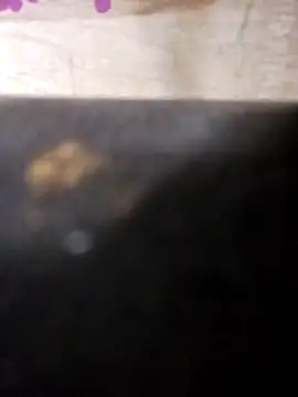 Snapshot of Jeremycle chatting on October 25, 2025, 11:27 pm Jeremycle online show from October 25, 2025, 11:27 pm