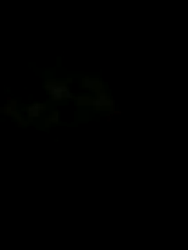 Snapshot of ELNENE400 chatting on November 15, 2025, 3:54 am ELNENE400 online show from November 15, 2025, 3:54 am