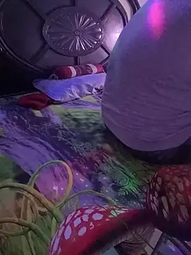 payal 261072  online show from October 27, 2025, 7:53 am