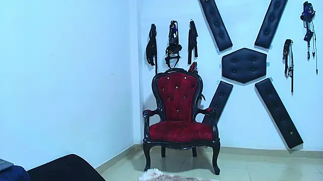 Adonis artemis online show from November 13, 2025, 3:49 pm