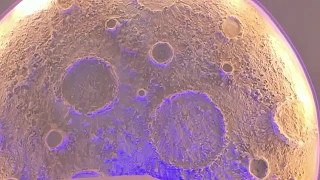  Noah19 online show from October 16, 2025, 7:00 pm