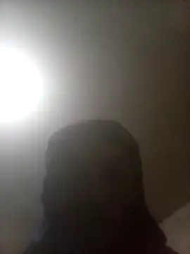 Bebicho14 online show from April 2, 2026, 2:30 am