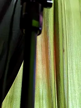 chocolate alone online show from November 10, 2025, 6:51 am