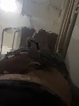 Snapshot of 1995Pk chatting on September 24, 2025, 5:08 pm 1995Pk online show from September 24, 2025, 5:08 pm