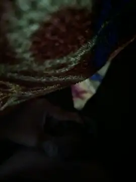 Snapshot of 1995Pk chatting on September 29, 2025, 6:24 pm 1995Pk online show from September 29, 2025, 6:24 pm