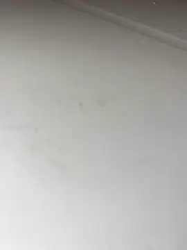 Snapshot of Bandidasexy22 chatting on October 24, 2025, 2:27 pm Bandidasexy22 online show from October 24, 2025, 2:27 pm