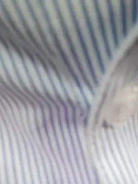 Snapshot of bingxin- chatting on December 19, 2025, 5:21 am bingxin- online show from December 19, 2025, 5:21 am