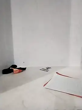 Snapshot of Student_girl2 chatting on October 25, 2025, 4:55 am Student girl2 online show from October 25, 2025, 4:55 am