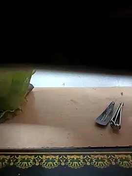 Snapshot of Sona_42i chatting on October 31, 2025, 3:41 pm Sona 42i online show from October 31, 2025, 3:41 pm