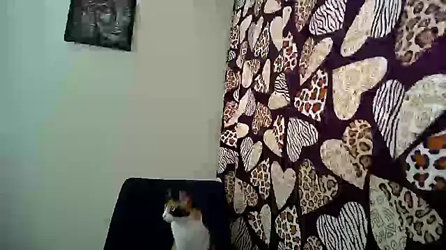 KittyHoleshot87 online show from September 19, 2025, 4:33 pm