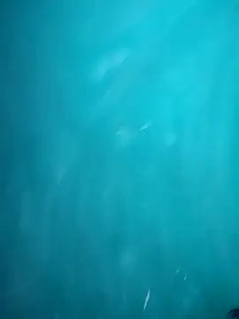 Snapshot of HOT_DAAN79 chatting on November 4, 2025, 7:50 pm HOT DAAN79 online show from November 4, 2025, 7:50 pm