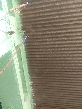 Ishwariya Hatwal online show from October 8, 2025, 3:52 am