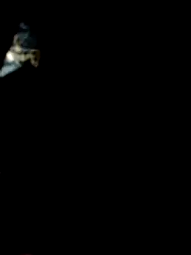 Ishwariya Hatwal online show from October 14, 2025, 10:31 pm