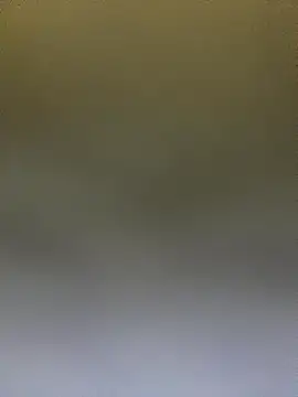 Snapshot of Adele_Pinkk chatting on October 14, 2025, 12:50 pm Adele Pinkk online show from October 14, 2025, 12:50 pm