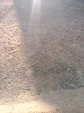 Shreyaaa 1 online show from November 7, 2025, 2:16 am