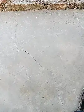 Rani sahiba online show from October 4, 2025, 11:56 am