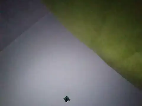 Snapshot of Ladyetcetera chatting on September 30, 2025, 3:56 am Ladyetcetera online show from September 30, 2025, 3:56 am