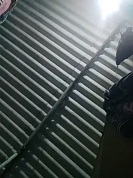 Tamilgud23 online show from November 16, 2025, 4:23 pm