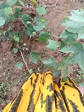 Snapshot of jothitelugu chatting on October 21, 2025, 6:57 am jothitelugu online show from October 21, 2025, 6:57 am