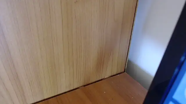 Pamela-StripX online show from March 3, 2026, 8:38 pm