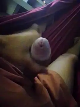 Holanda23cm online show from April 13, 2026, 1:42 am