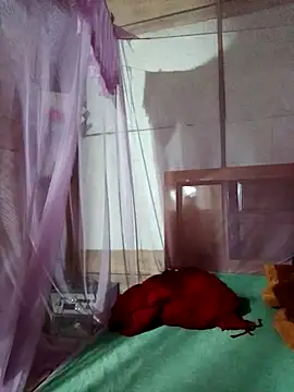 Snapshot of LucyyLy chatting on October 24, 2025, 11:37 pm LucyyLy online show from October 24, 2025, 11:37 pm