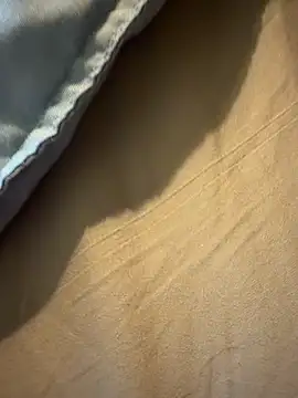 StudiedJoint85 online show from November 24, 2025, 5:02 pm