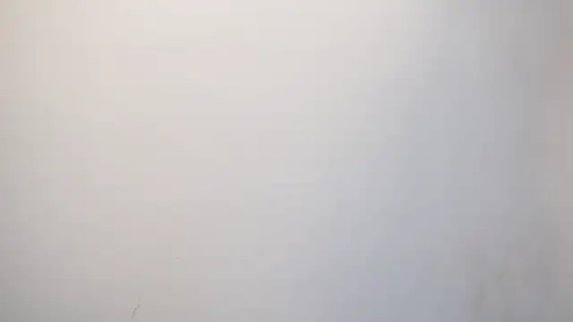 Tayler Kim online show from September 24, 2025, 4:24 pm