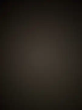 Snapshot of PayForThePaddy chatting on November 17, 2025, 11:53 pm PayForThePaddy online show from November 17, 2025, 11:53 pm