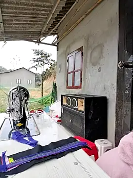 Tin tanny online show from February 3, 2026, 6:33 am