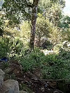 Snapshot of xinhxinhcute chatting on September 17, 2025, 7:54 am xinhxinhcute online show from September 17, 2025, 7:54 am