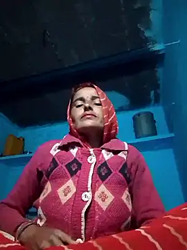 Jalebi bay online show from January 14, 2026, 2:31 pm