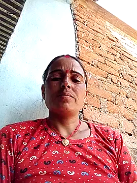 Jalebi bay online show from September 24, 2025, 8:54 am