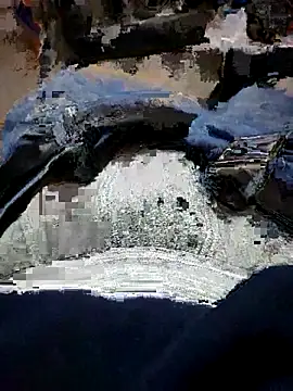 ELPrecoxxxito20 online show from March 1, 2026, 11:05 pm