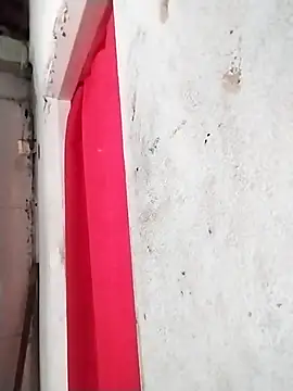  tetas 92 online show from April 14, 2026, 2:33 pm