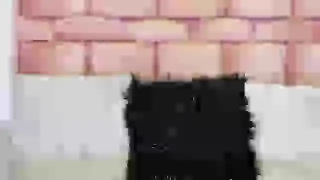 sharik noa online show from October 24, 2025, 7:35 pm