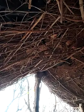 Janvi Jaitly online show from December 5, 2025, 1:27 am