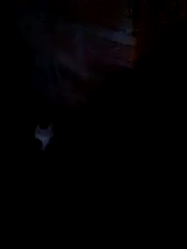 nini-will online show from September 18, 2025, 10:29 am