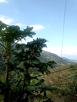 Suni2345 online show from October 17, 2025, 2:37 am