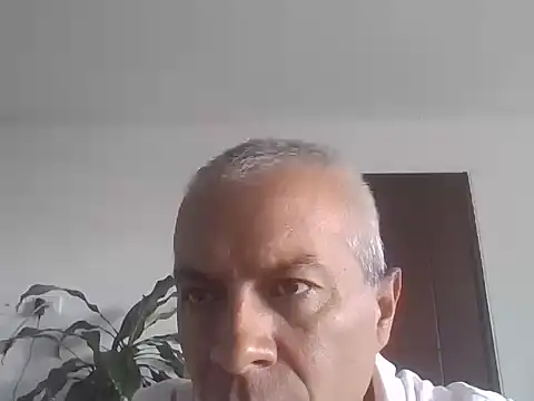 Snapshot of ALFRERM chatting on October 12, 2025, 7:37 pm ALFRERM online show from October 12, 2025, 7:37 pm