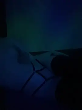 gjollyros online show from February 18, 2026, 8:16 pm