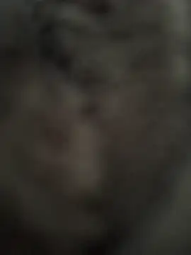 Immerhartundgeil online show from May 9, 2026, 6:17 am