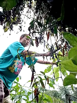 kemtuoi-sex online show from February 22, 2026, 11:50 pm