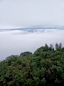 kemtuoi-sex online show from October 23, 2025, 4:11 am